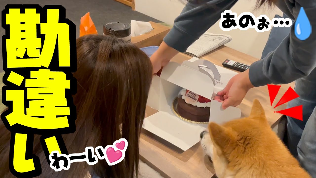主役を無視し誰よりも早くプレゼントの前に着席する娘と柴犬