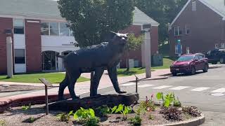 USA - Qunnipiac University, Hamden, CT - Campus tour| America university campus tour