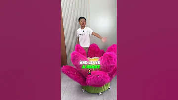 Lang Lang Actually Made A Lotus Sofa This Time Funny Shorts Amazing 