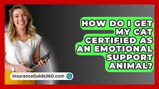 How Do I Get My Cat Certified As An Emotional Support Animal? - Insuranceguide360