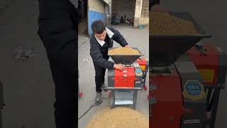 Corn Crusher Machine for Poultry & Cattle Feed Maize Grinder Demo #corncrusher #farmequipment #viral