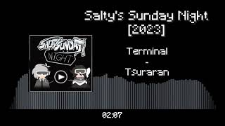 Friday Night Funkin - Salty Sunday Night 2023 Ost - Terminal