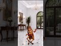 फोन/टीव्ही दाखवू नका म्हणतात… #momlife #funny #ytshorts #toddlers #yt #trending #viral #ytshorts