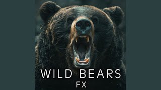 Soft Bear Roars And Movement screenshot 5