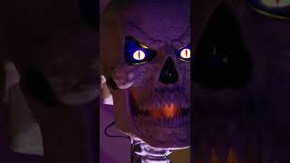 Millard Halloween Display