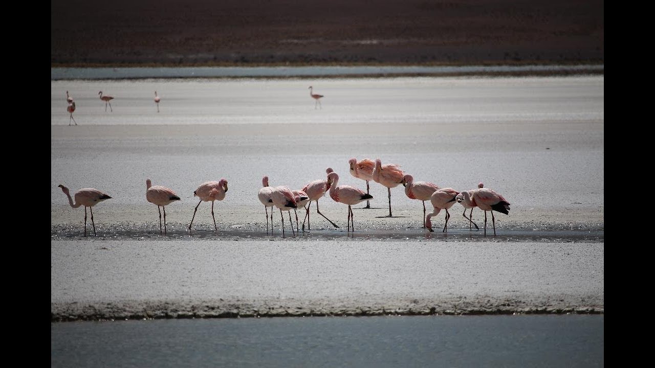 Carpooling through Altiplano, Bolivia