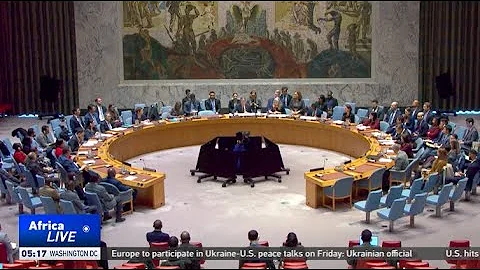 UN Security Council renews DR Congo peacekeeping mission