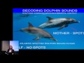 Dolphin Communication: Cracking the Code
