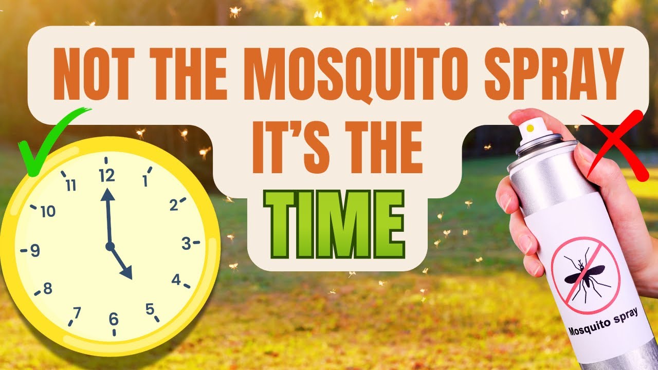 Best Time To Spray For Mosquitoes