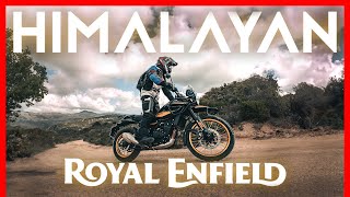 Royal Enfield Himalayan 450 | Prueba offroad & onroad | Sencillamente eficaz