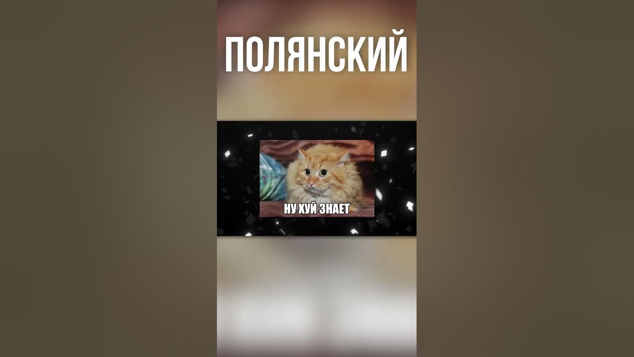 чем отличается физ и маг шадоу финд - YouTube