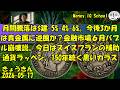 05-17 金融市場6月バブル崩壊説。今後3か月は貴金属に逆風か?月間騰落は$建-5%-4%-6%。今日はスイスフランの補助通貨ラッペン、150年続く黒いカラス (565) きょうきんGT