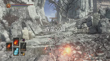 古竜の頂 ソウル稼ぎ