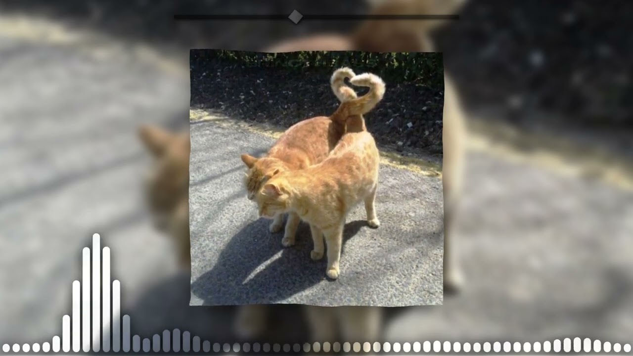 stay with me ! sped up