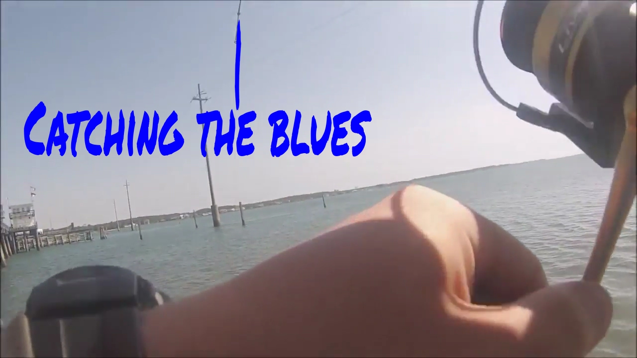 Catching the Blues!... spring break 2017 day 3 - YouTube