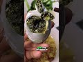 đây là trứng gì có ăn được khôngP1