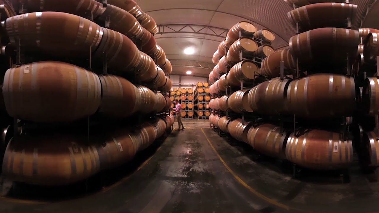 Vineyard In VR - Pernod Ricard Case Study