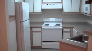Greenwood Park Apartments - Centennial - 1 Bedroom - Green Ash Floorplan