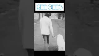 Barry Gibb Walks Dog To Song lonely Days shorts