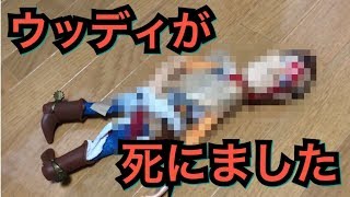 【グロ注意】ウッディがもう直せません※心臓の弱い方はご遠慮ください