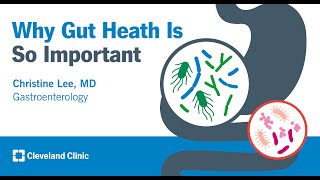 Why Gut Health Is So Important | Christine Lee, MD