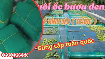 Tráng - Vèo lưới Thái Lan nuôi ốc cá tôm ếch lươn,,, Giao hàng toàn quốc. độ bên trên 3 năm