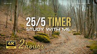 Study With Me 2h Pomodoro Timer (25/5) | Forest Stream &amp; Nature Sounds