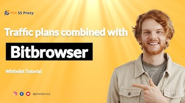 How to set up Bitbrowser proxy with PIA S5 proxy data plan whitelist