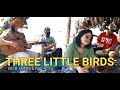 Three Little Birds - Bob Marley & The Wailers | Kuerdas Acoustic Cover