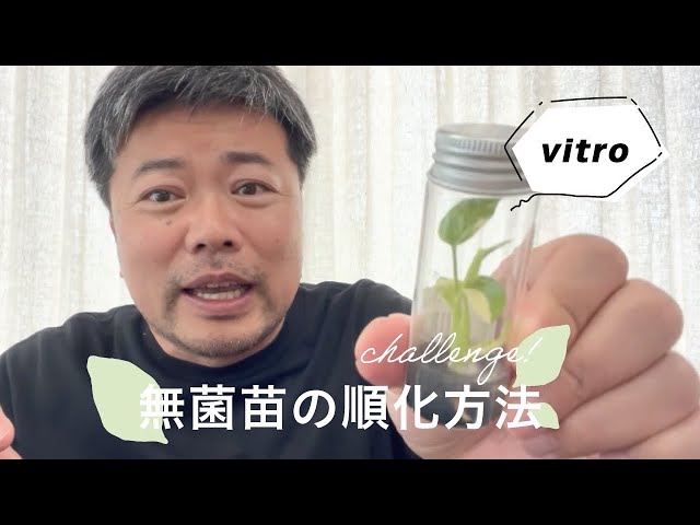 Explains how to acclimate germ-free seedlings - YouTube