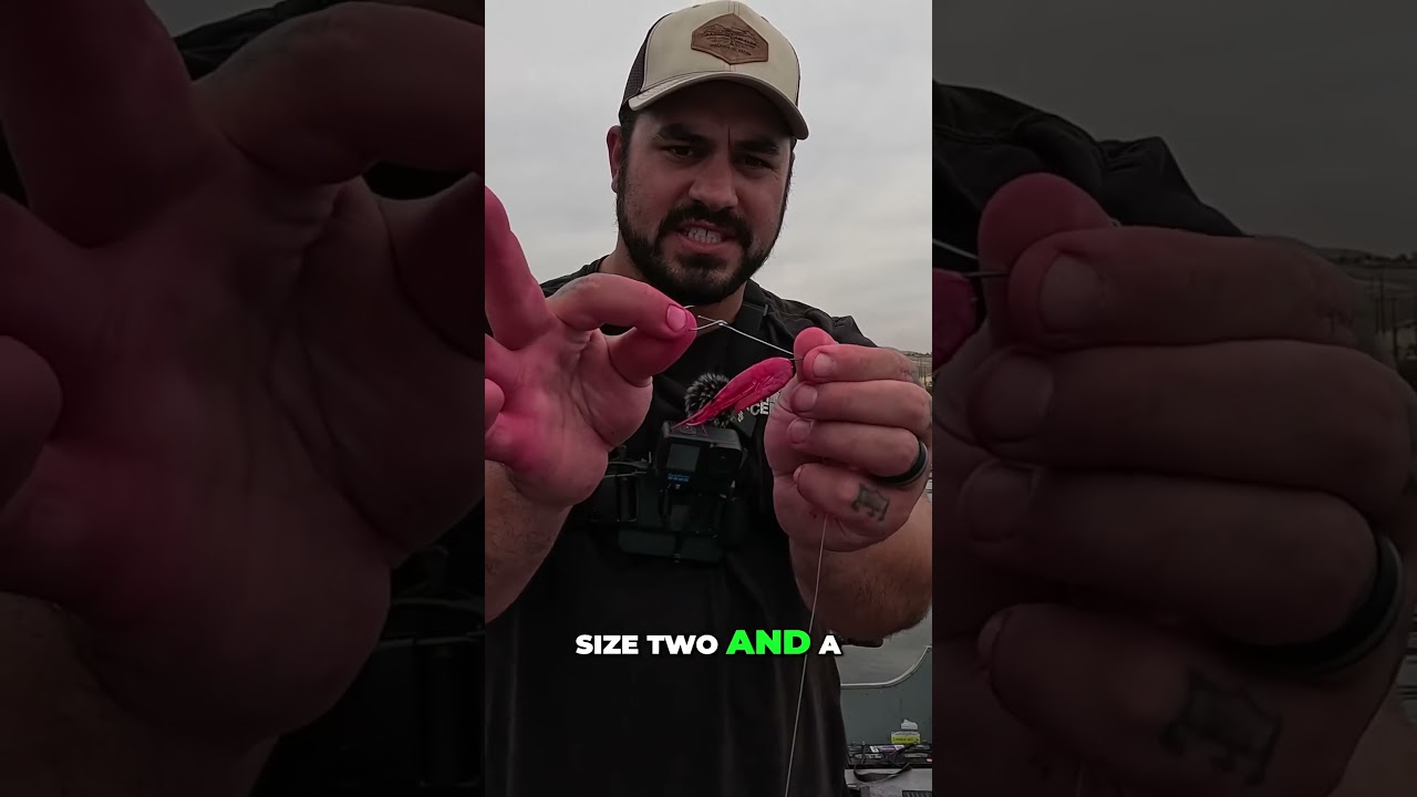 The BEST Bobber Setup for STEELHEAD! 