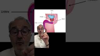 Des douleurs abdominales de cause bien particulière…