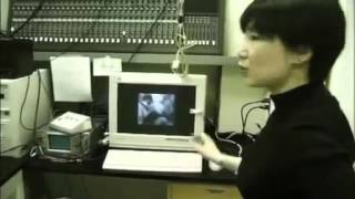 Getting visual data from a cat's brain in real-time Profile