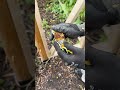 How gardening and a supportive housing project gave this Toronto resident a second chance