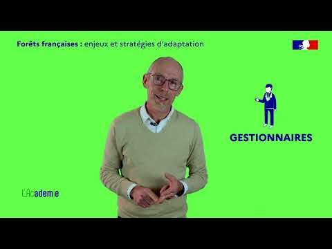 French Forests: Challenges and Adaptation Strategies. 3 Minutes on the Clock for the Transition!