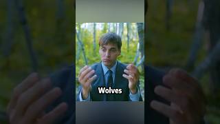 Have you ever seen such a clever Wolf #shorts #viral #film