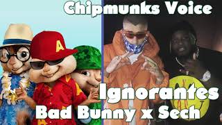 Ignorantes - Bad Bunny x Sech (Chipmunks Version)
