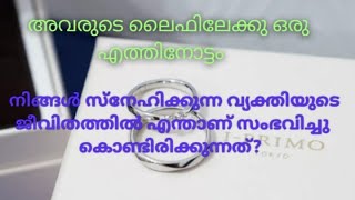 ♦️✨നിങ്ങൾ സ്നേഹിക്കുന്ന വ്യക്തിയുടെ ജീവിതത്തിൽ എന്താണ് സംഭവിച്ചു കൊണ്ടിരിക്കുന്നത്? 🌹