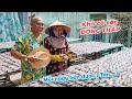 Khô cá sặc bổi Đồng Tháp nhà làm mà bán ngày có 1 tấn chứ nhiêu !!???