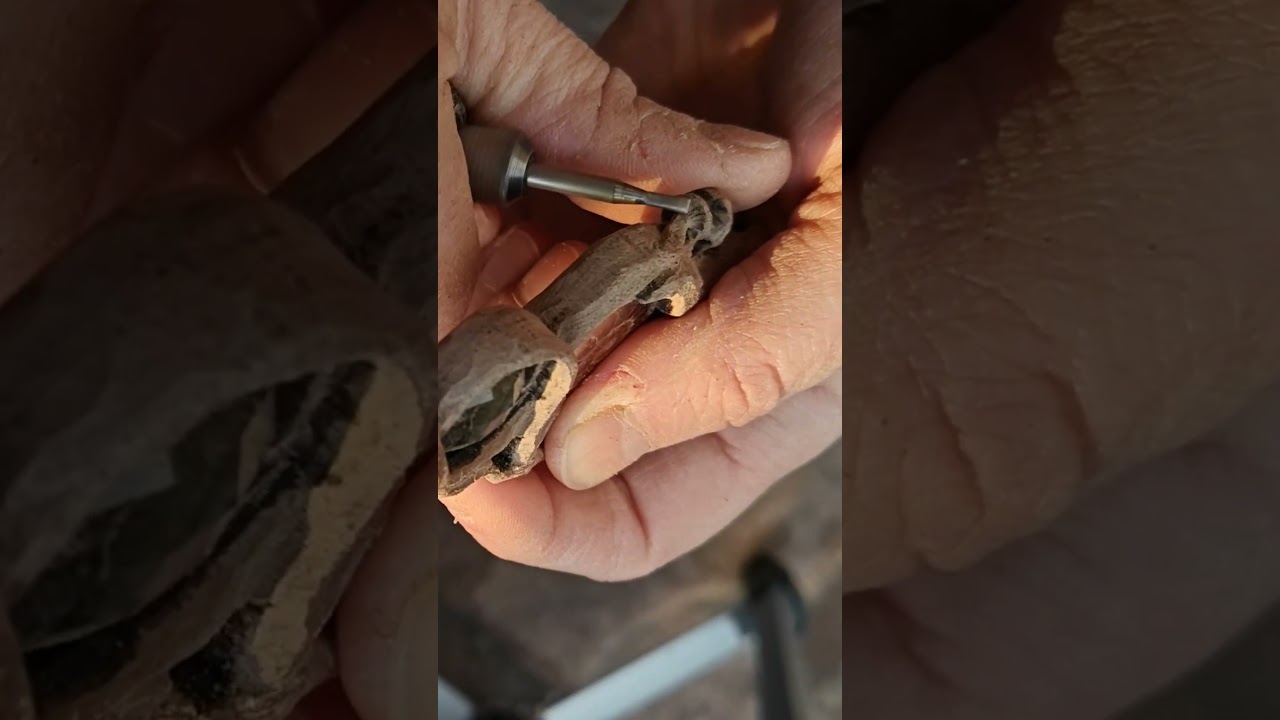 Wurzeln: Nussholz, Ammonit, Labradorit 🍄🌿