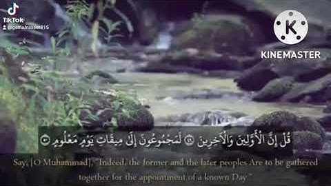 ثم إنكم أيها الضالون المكذبون.تلاوه من القلب القارئ جمال عبد الناصر ❤️ تريح القلب والسمع