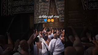 کعبہ دیکھا دے مولا 🥺💔😘😊#naat #status #shortvideo #💙💙💙💙💙💙💙💙💙💙