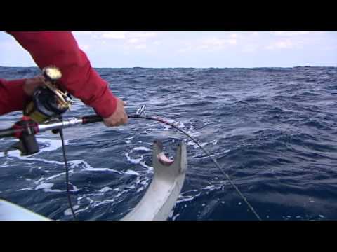 【釣り百景】#066 狙うのは大海に棲む大型魚たち　宮古島・神秘の海