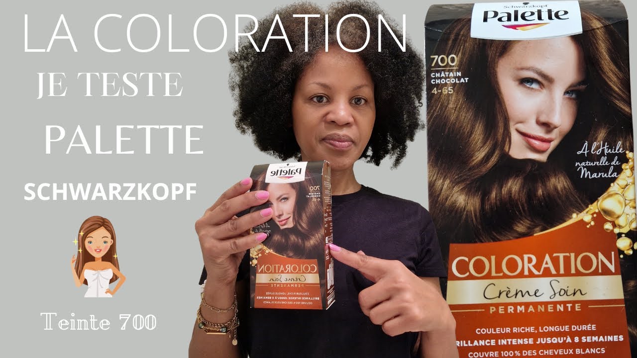 Comment teindre ses cheveux à la maison [coloration PALETTE] teinte ...