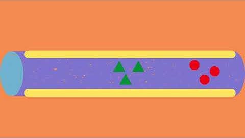 Gas Chromatography Explained For Beginners