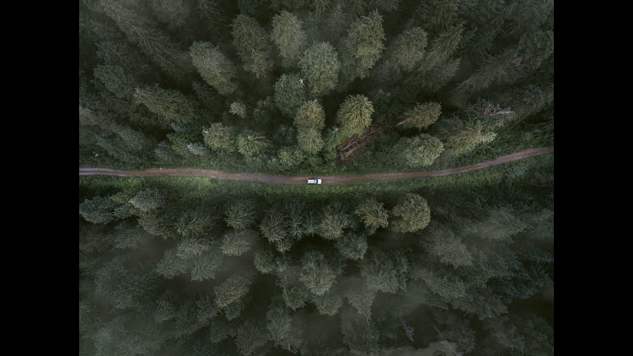 All Videos