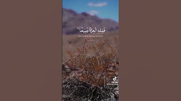 ( من كان يريد العزة فللة العزة جميعا) بصوت القارئ يوسف العيدروس