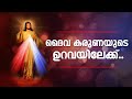 ദൈവകരുണയുടെ ഉറവയിലേക്ക്