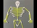 HUMAN SKELETON ACTIVITY | USING EARBUDS