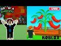 Live 🔴 | GROW A GARDEN NEW STOCK AND TRADE #BloxFruits, #Roblox, #BloxFruitsLive